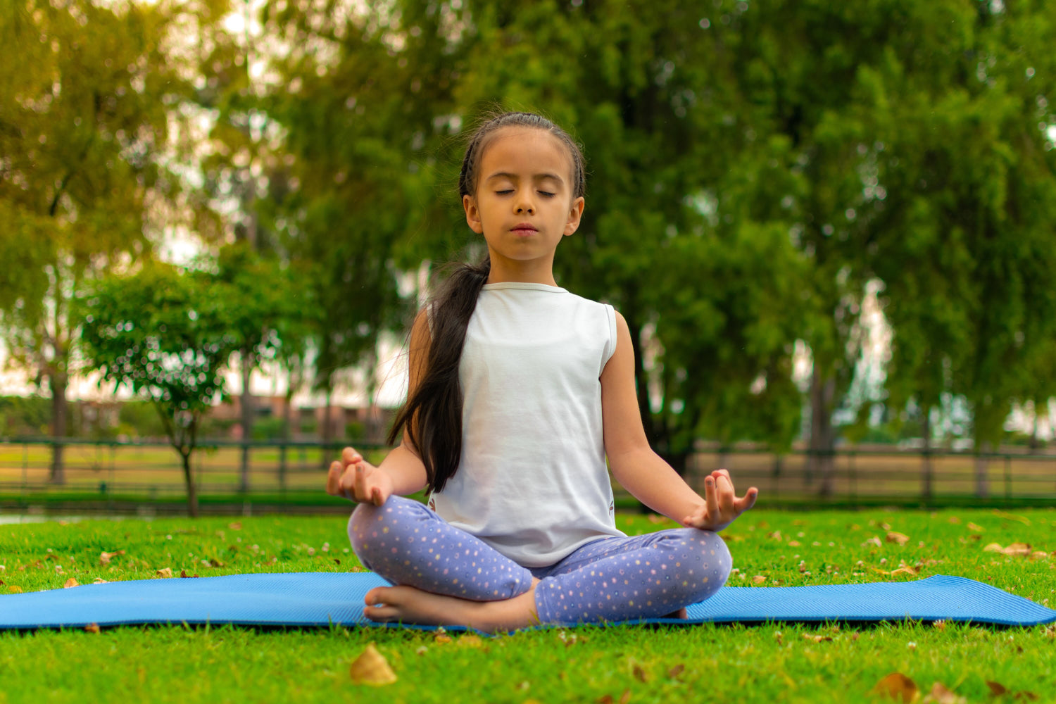 Discipline Over Motivation - No Girlie Girls