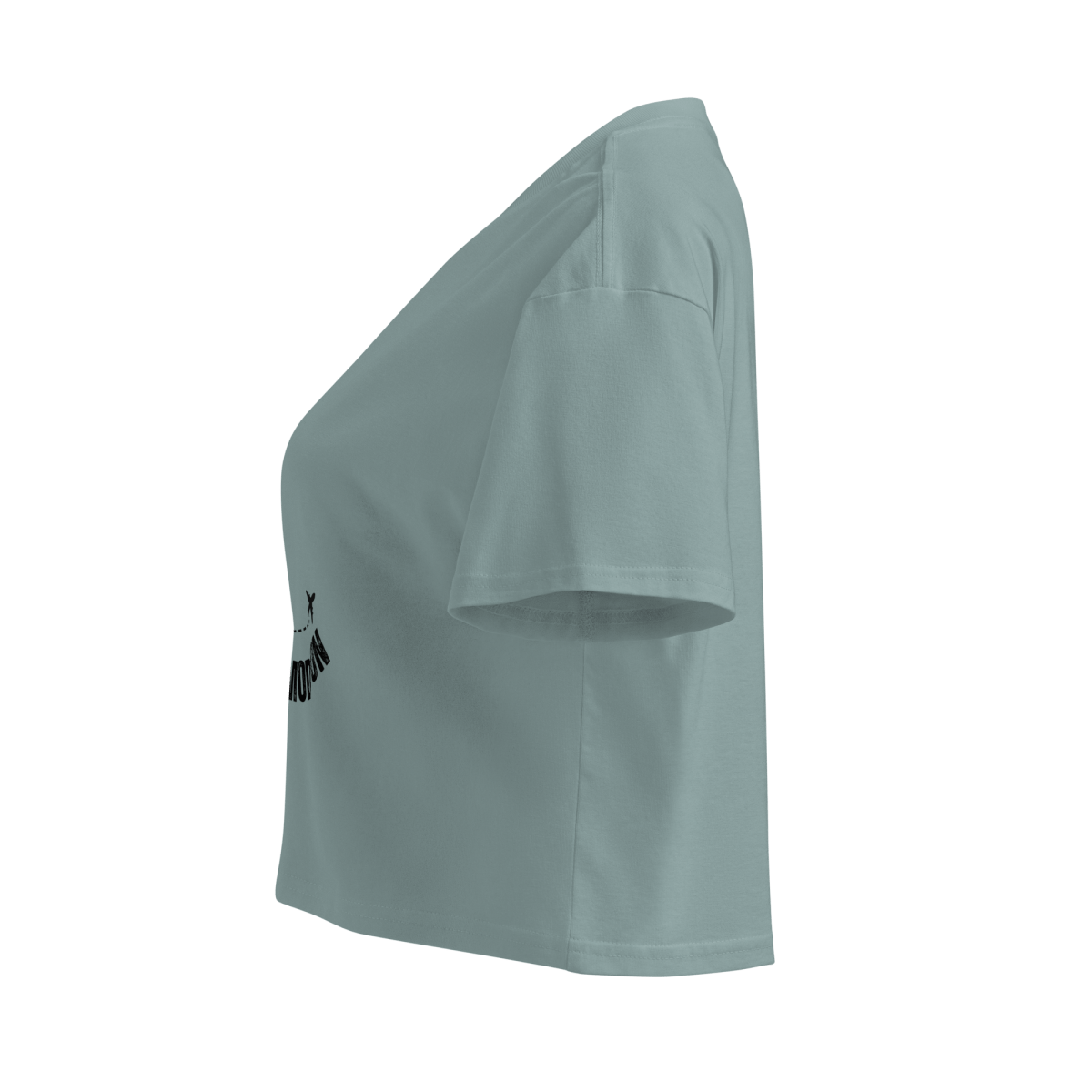 Flight Mode: ON - Women’s crop top - No Girlie Girls